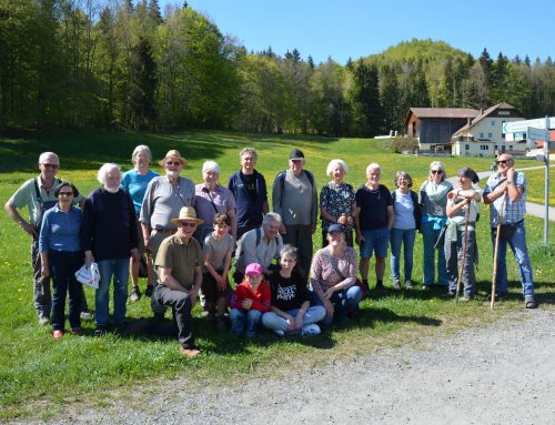 Frühlingswanderung und historische Gattersäge